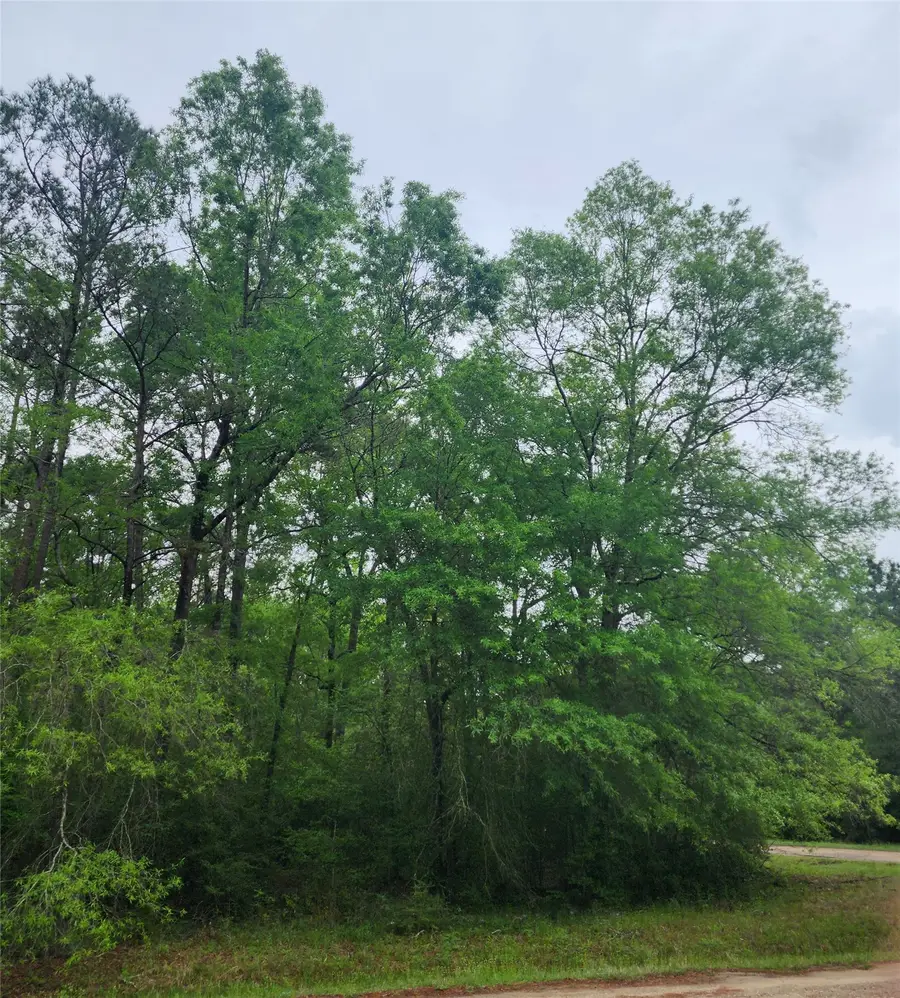 TBD Cloverdale, Livingston, TX 77351 - #3