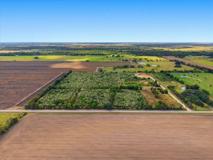 Lot 3 Cow Creek Road, Damon, TX 77430 - Image #3