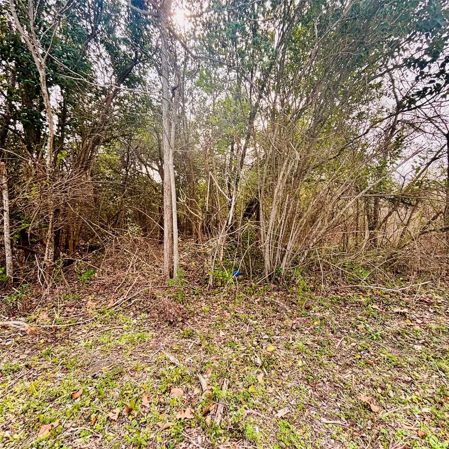 TBD Phillips, Texas City, TX 77591 - #2