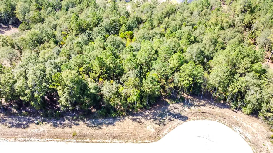 1729 Road 66118, Dayton, TX 77535 - Image #2