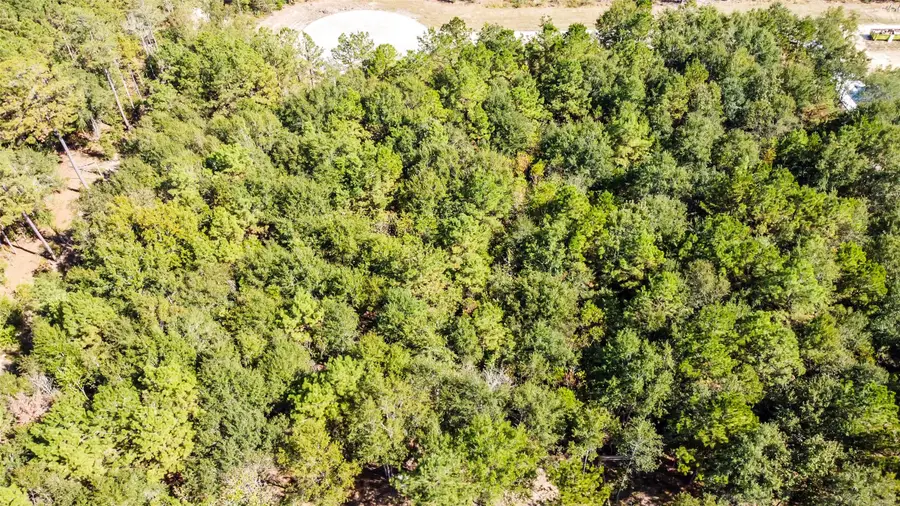 1729 Road 66118, Dayton, TX 77535 - Image #3