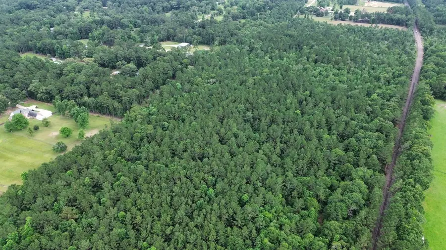 9087 County Road 451, Kirbyville, TX 75956 - #3