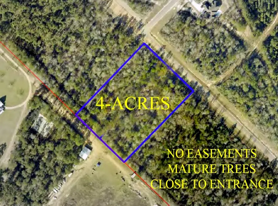 11652 Grand North Road, Willis, TX 77358 - #3