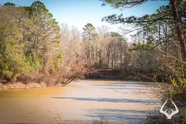 00 00 Recreational Road 255, Colmesneil, TX 75938