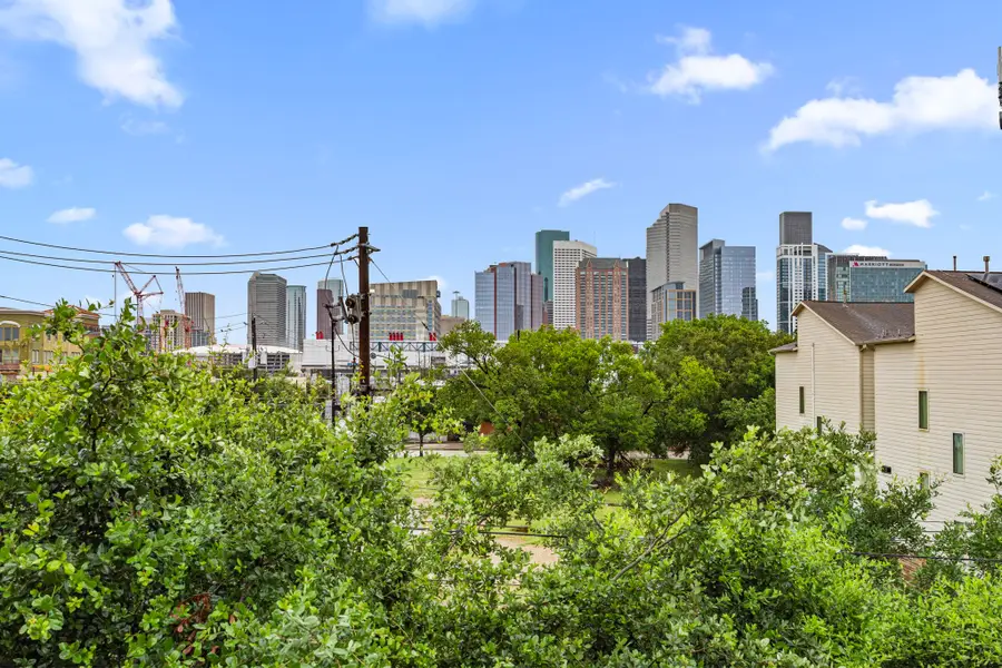 1119 Saint Charles Street, Houston, TX 77003 - #3