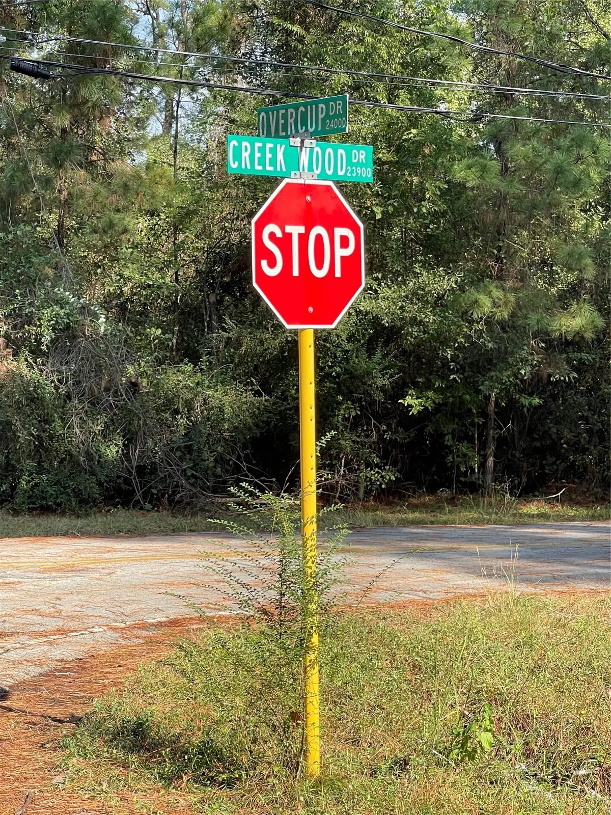 0 Overcup Drive, Spring, TX 77389 - #1