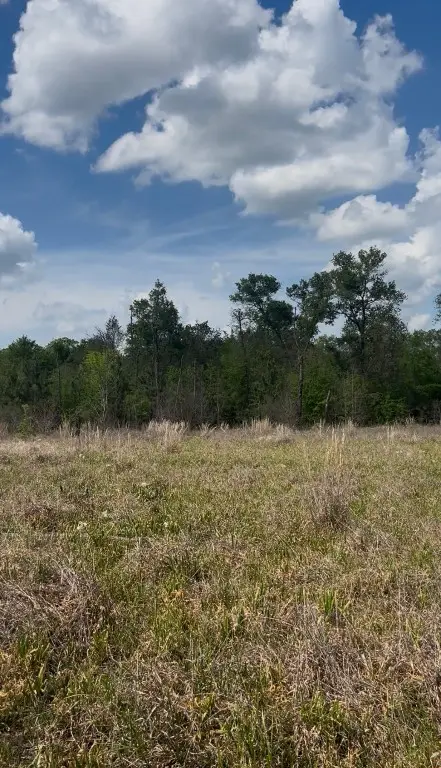 2147 8160 Tract 36, Lovelady, TX 75851