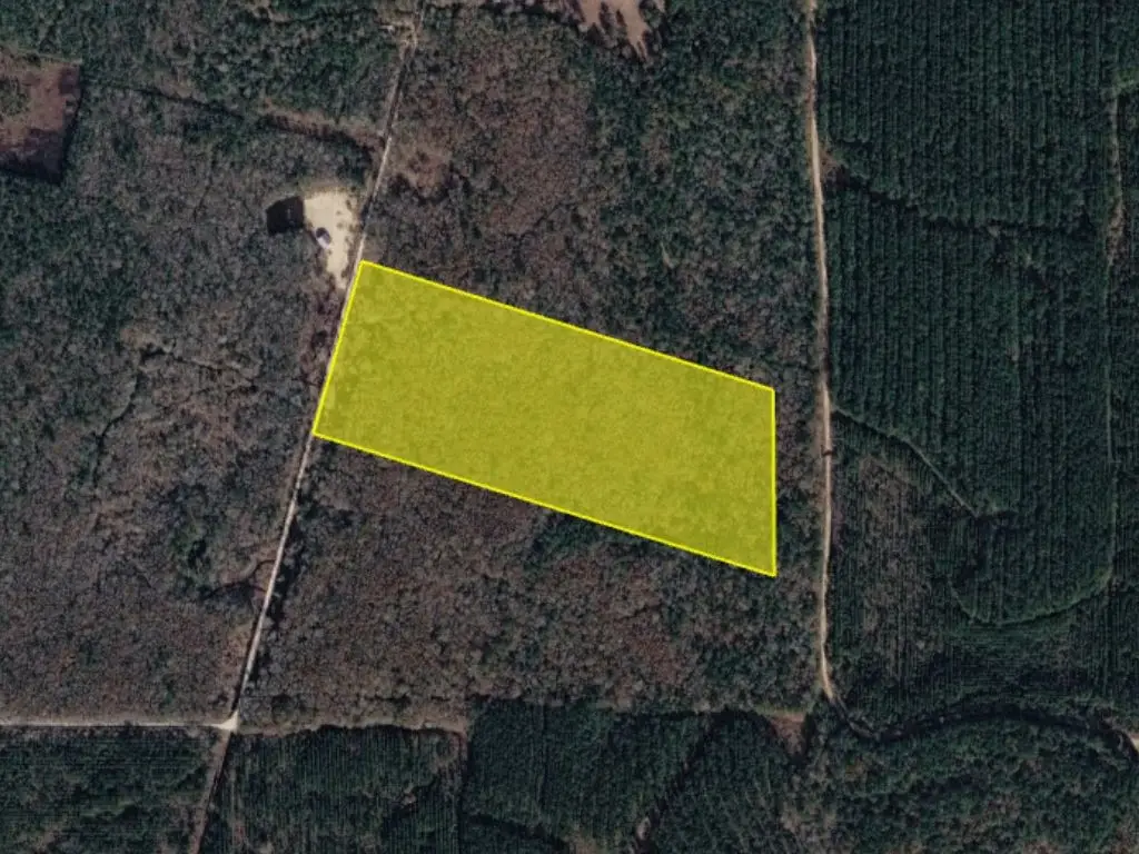 0 Sap Graveyard Road, Kountze, TX 77625 - #1