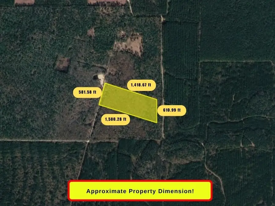 0 Sap Graveyard Road, Kountze, TX 77625 - #3