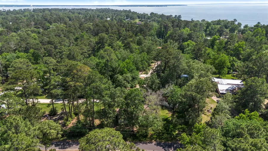 152 Lions Circle, Onalaska, TX 77360 - #3