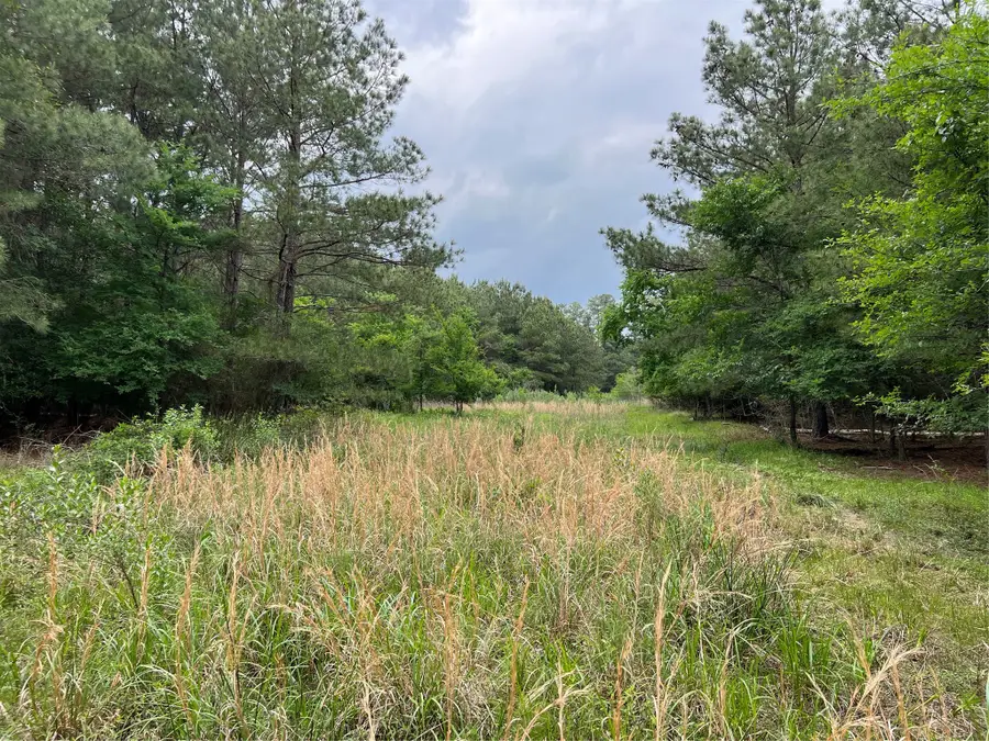 Tract 2 English Road, Bedias, TX 77831 - #2