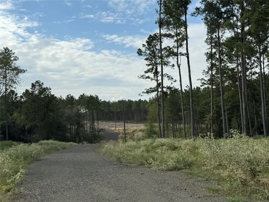 573 Piney Creek Estates Rd, Timpson, TX 75975 - #3