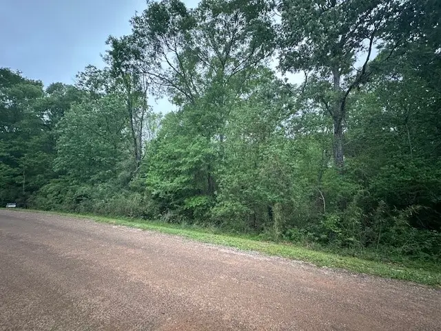 TBD LOT 13 & 14 Eastgate, Livingston, TX 77351 - #3