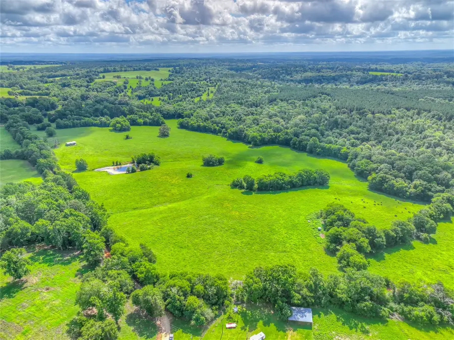 000 County Road 1750, Grapeland, TX 75844 - #2