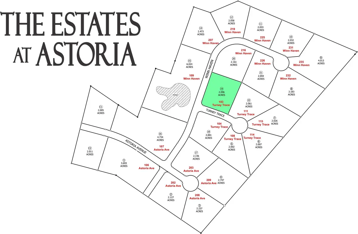 103 Turney Trace Avenue, Round Top, TX 78954 - #1