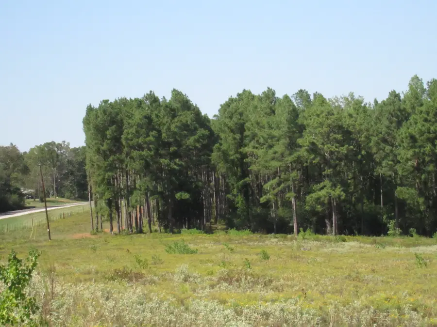 0025 Fm 256 N, Woodville, TX 75979 - Image #2