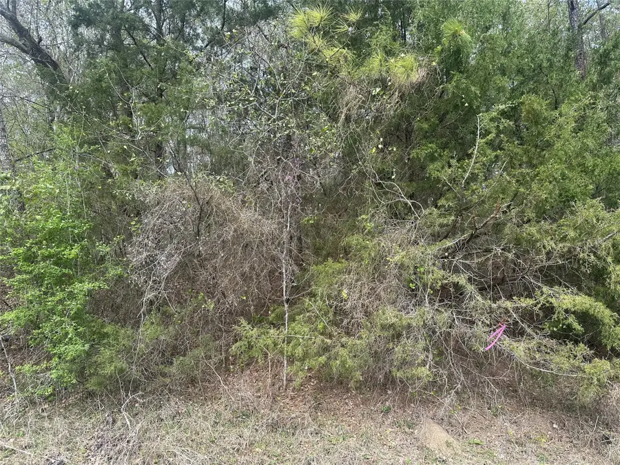 00 Cedar Valley Drive, Coldspring, TX 77331 - #2