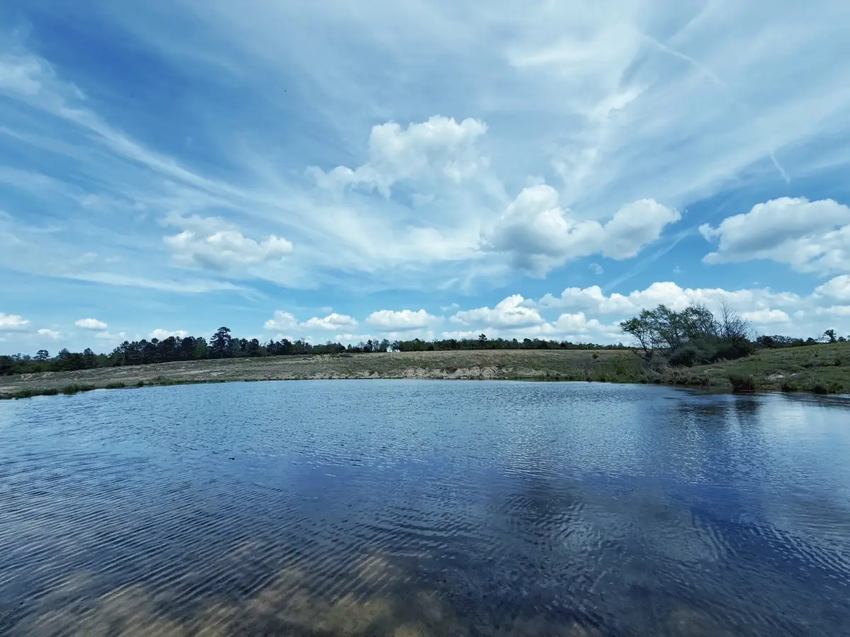 143 ac Cr 236, Oakwood, TX 75855 - #1