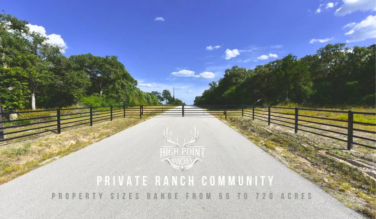 TBD Ranch Road Off Cr 405 - 60 Acres, Lexington, TX 78947 - #1