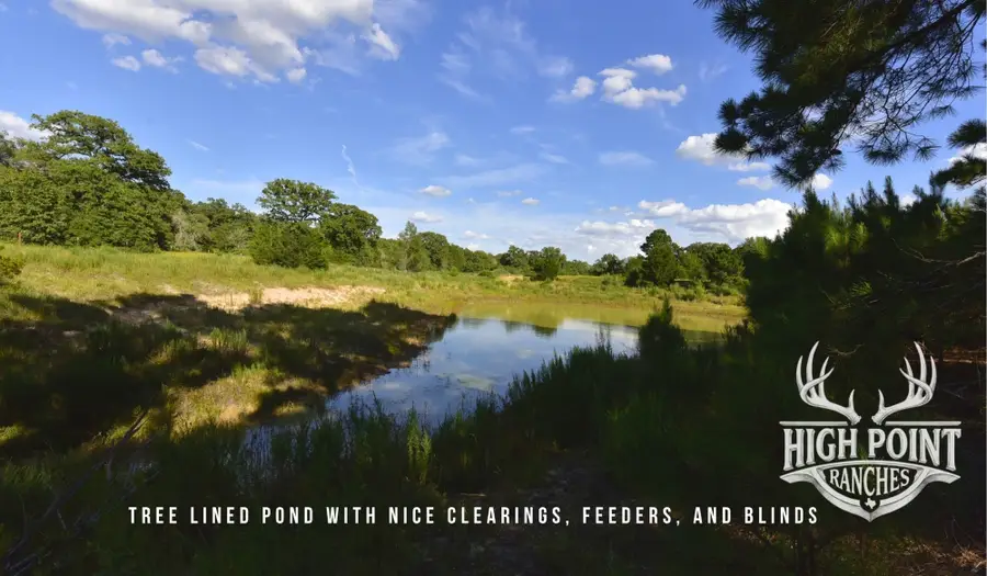 TBD Ranch Road Off Cr 405 - 60 Acres, Lexington, TX 78947 - #2