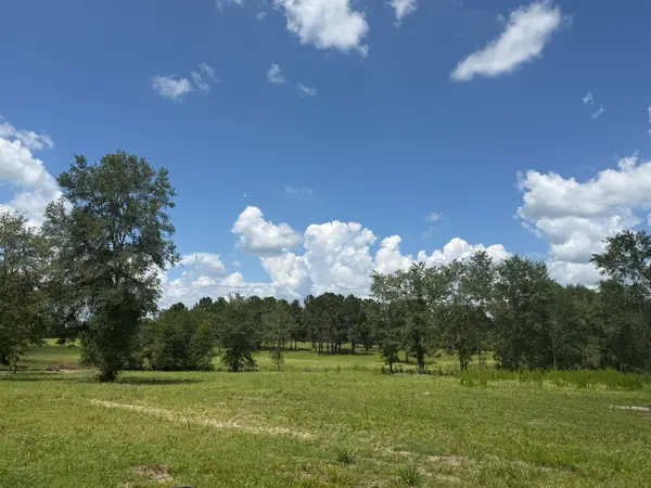 TBD N County Road 4050 Tract 1 Road, Lovelady, TX 75851