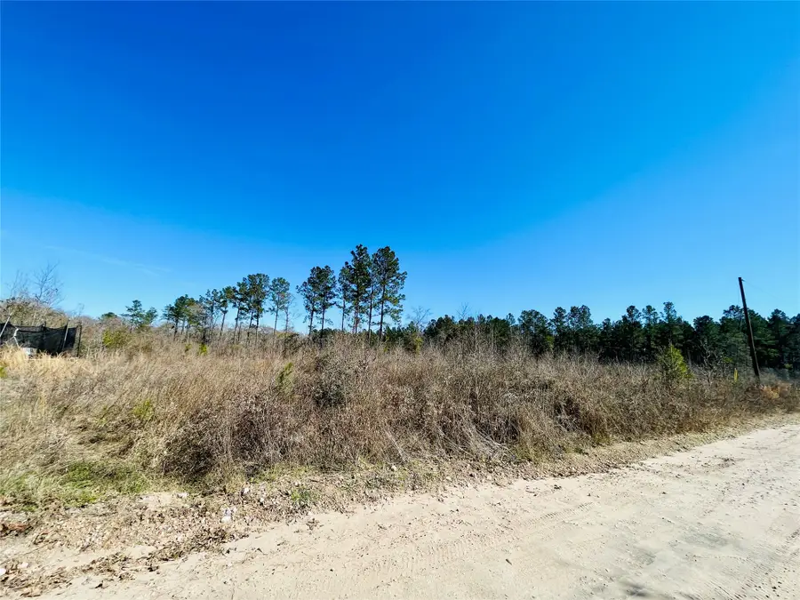 TBD Kickapoo Road, Groveton, TX 75845 - #2