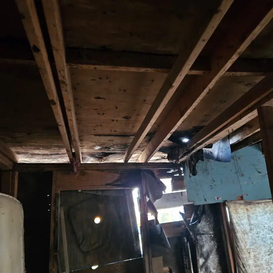 7525 Maryland Avenue, Brownsville, TX 78521 - #3