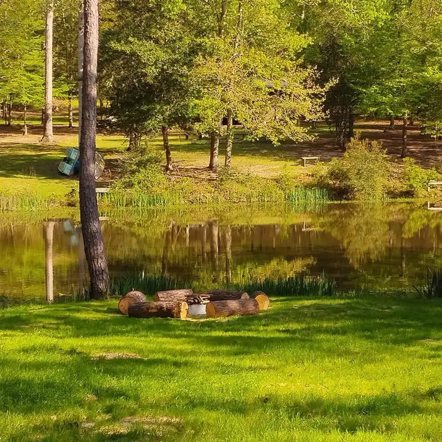 250 Bobby Baer Road, Livingston, TX 77351 - Image #3