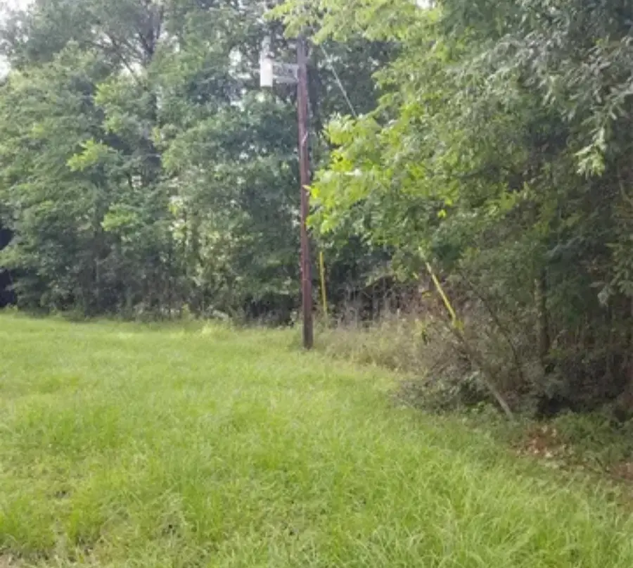 TBA Winding Creek, Shepherd, TX 77371 - Image #3