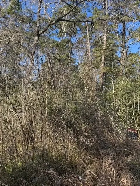 0 Sycamore Drive, Montgomery, TX 77356 - Image #3