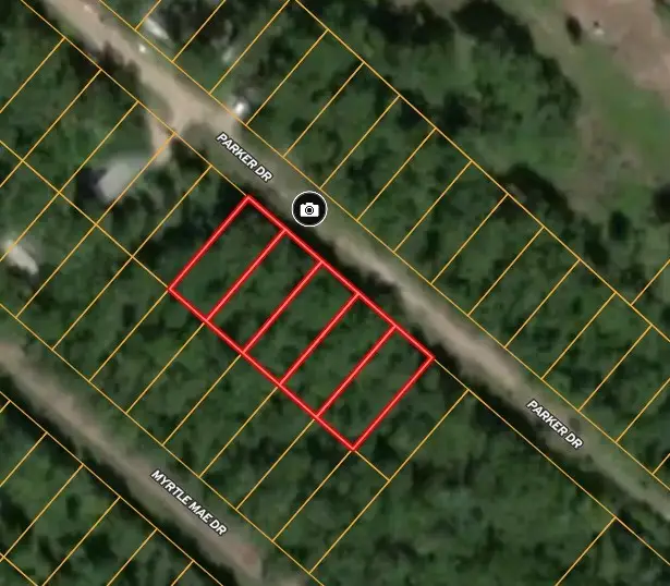 154 Myrtle Mae Drive, Livingston, TX 77351 - Image #3