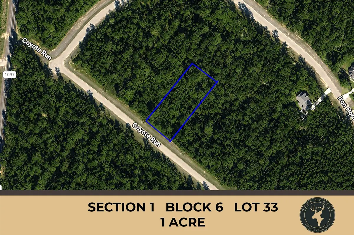 110 Coyote Run, Willis, TX 77378 - #1