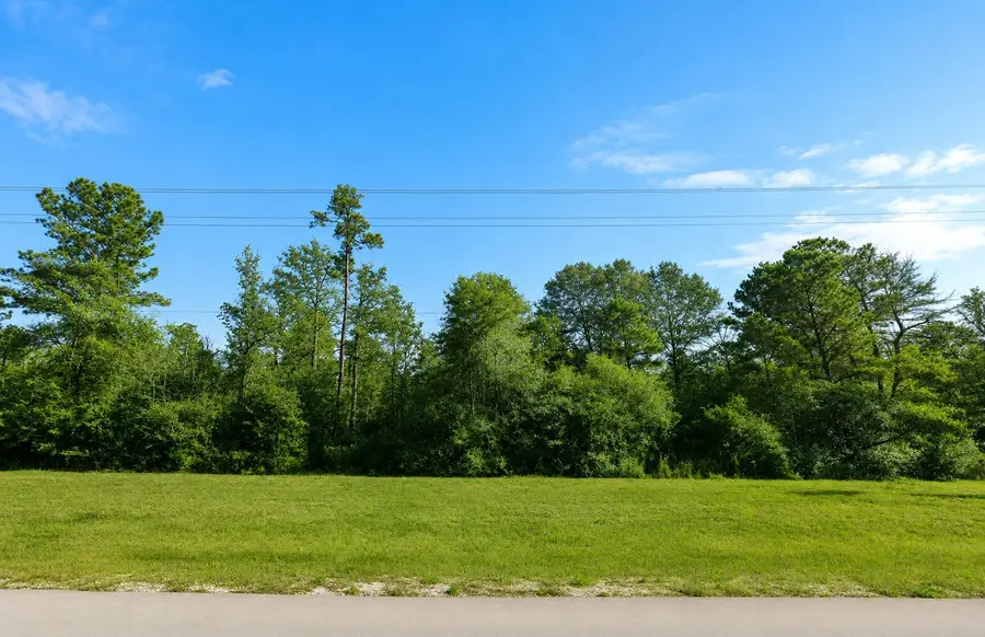 110 Coyote Run, Willis, TX 77378 - #3