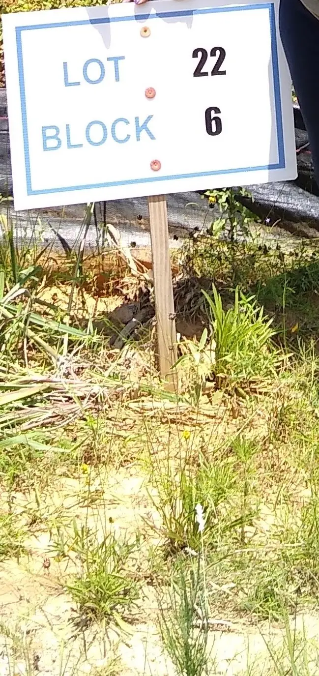 65 Coyote Run Road, New Waverly, TX 77358 - Image #1