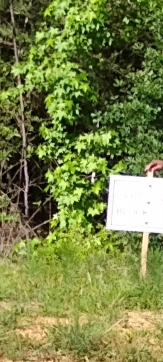 65 Coyote Run Road, New Waverly, TX 77358 - Image #2