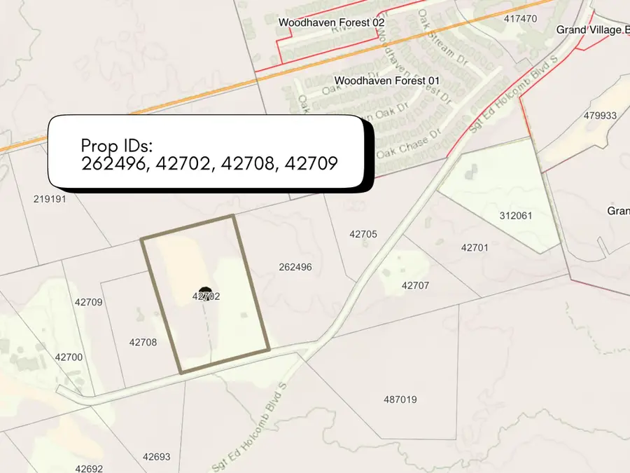 2274 Sgt Ed Holcomb Boulevard S, Conroe, TX 77304 - #3