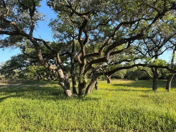 49 Shorebird Lane, Columbus, TX 78934