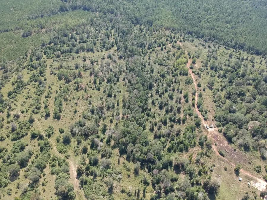 Tract 1 Private Rd 8385, Spurger, TX 77660 - #2