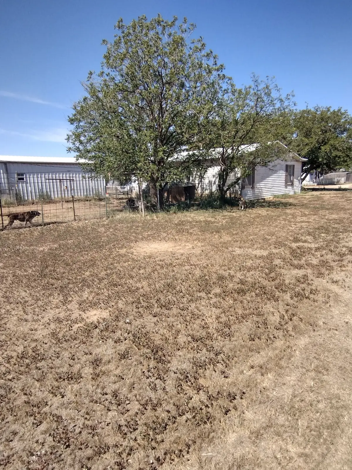 1405 E 5th Street, Petersburg, TX 79250 - #1