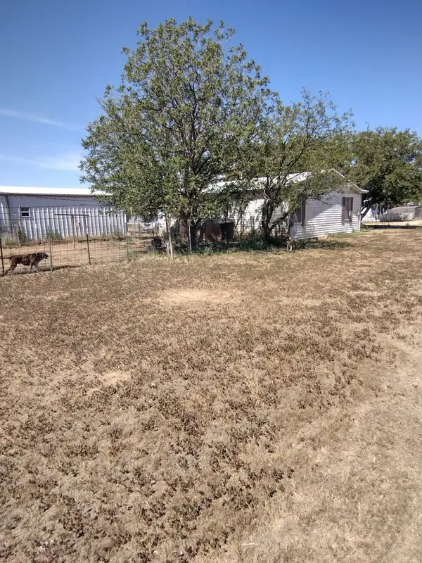 1405 E 5th Street, Petersburg, TX 79250
