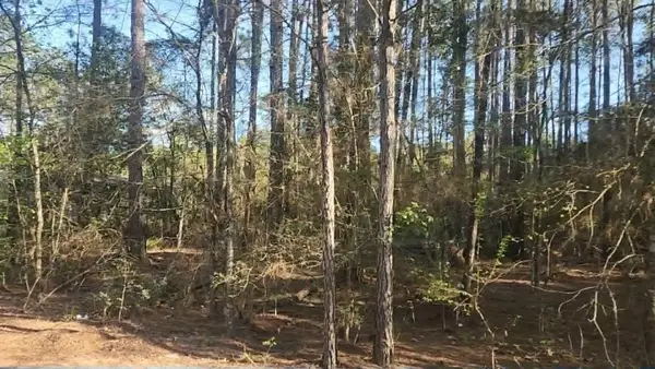 Lot 5 Walnut Tree Lane, Plantersville, TX 77363