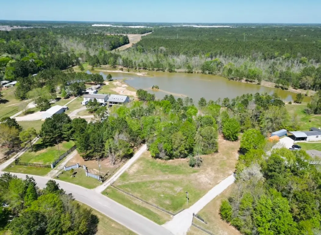 20065 Spring Hill Lane, Porter, TX 77365 - #1