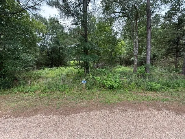 26546 Pin Oak Dr Drive, Hempstead, TX 77445 - #2