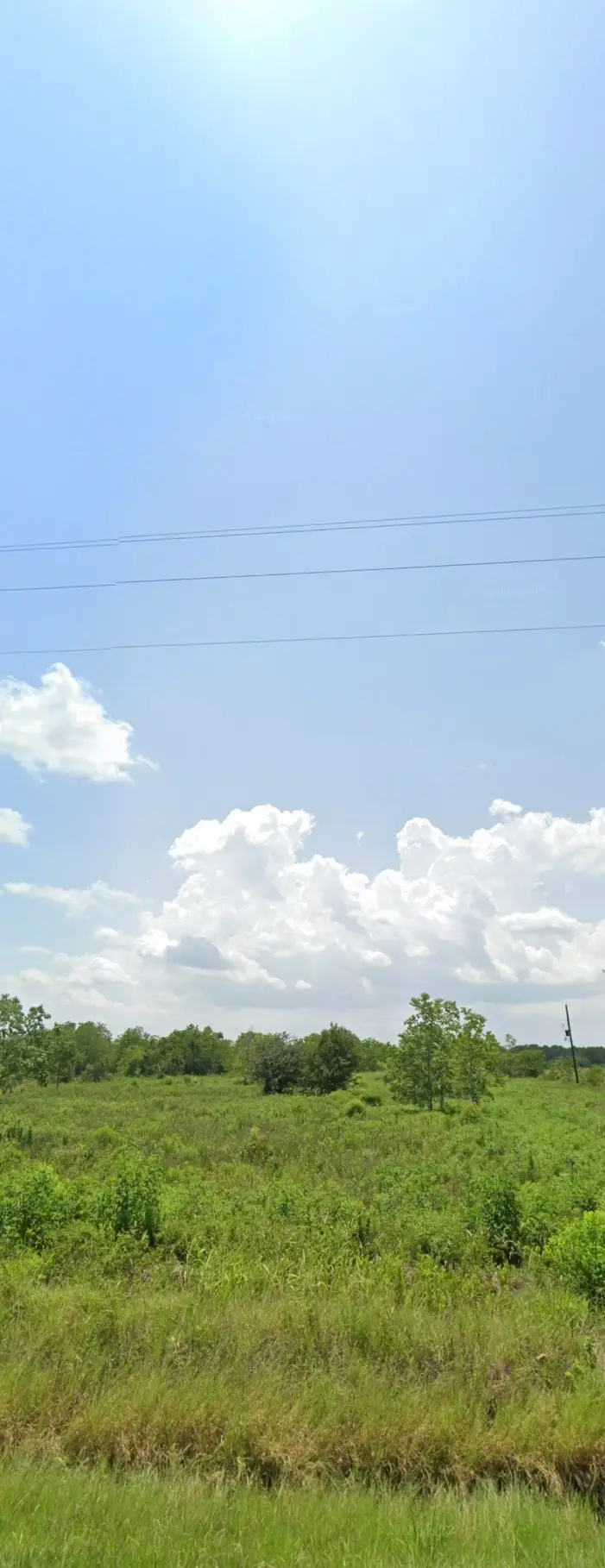 14153 Hamshire Road, Hamshire, TX 77622 - #1
