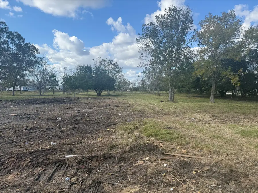 1914 1st Street, Liverpool, TX 77577 - Image #2