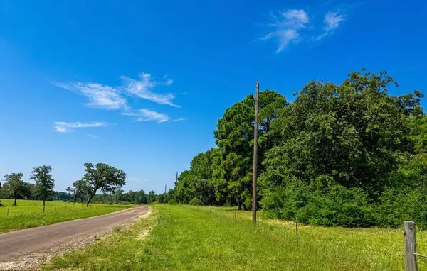 2447 Cr 261, Buffalo, TX 75831