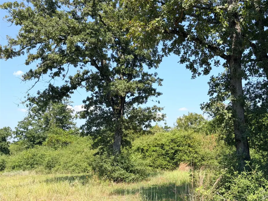 2447 Cr 261, Buffalo, TX 75831 - #2