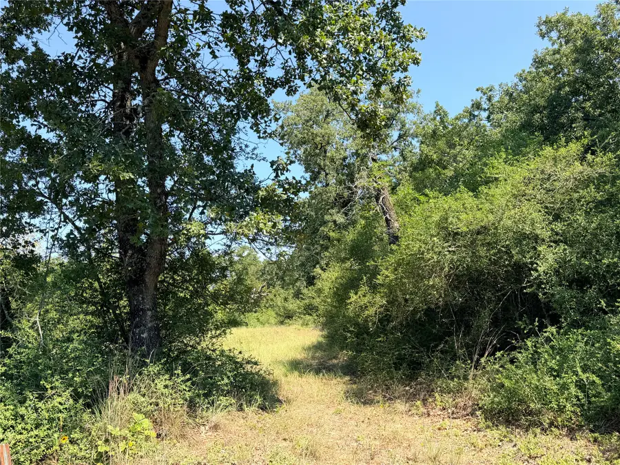 2447 Cr 261, Buffalo, TX 75831 - #3