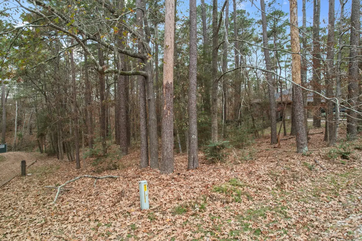 219 Kings Way, Coldspring, TX 77331 - #1