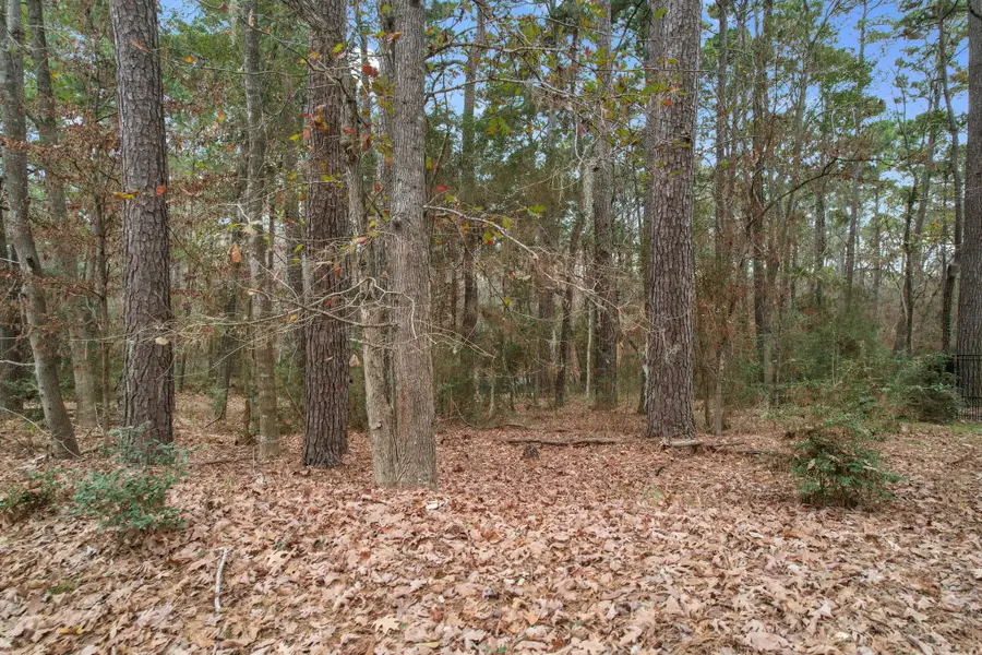 219 Kings Way, Coldspring, TX 77331 - #2